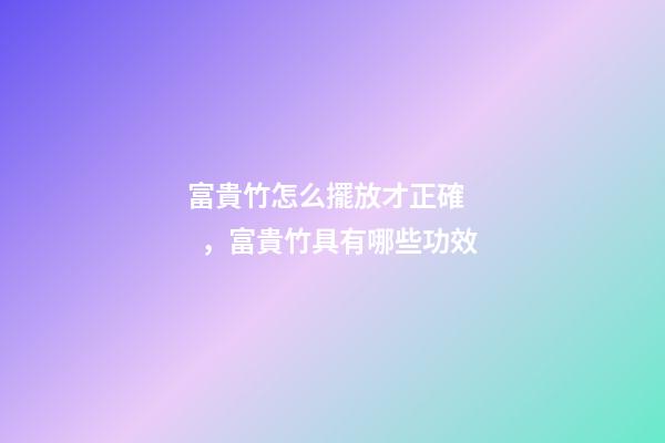 富貴竹怎么擺放才正確，富貴竹具有哪些功效